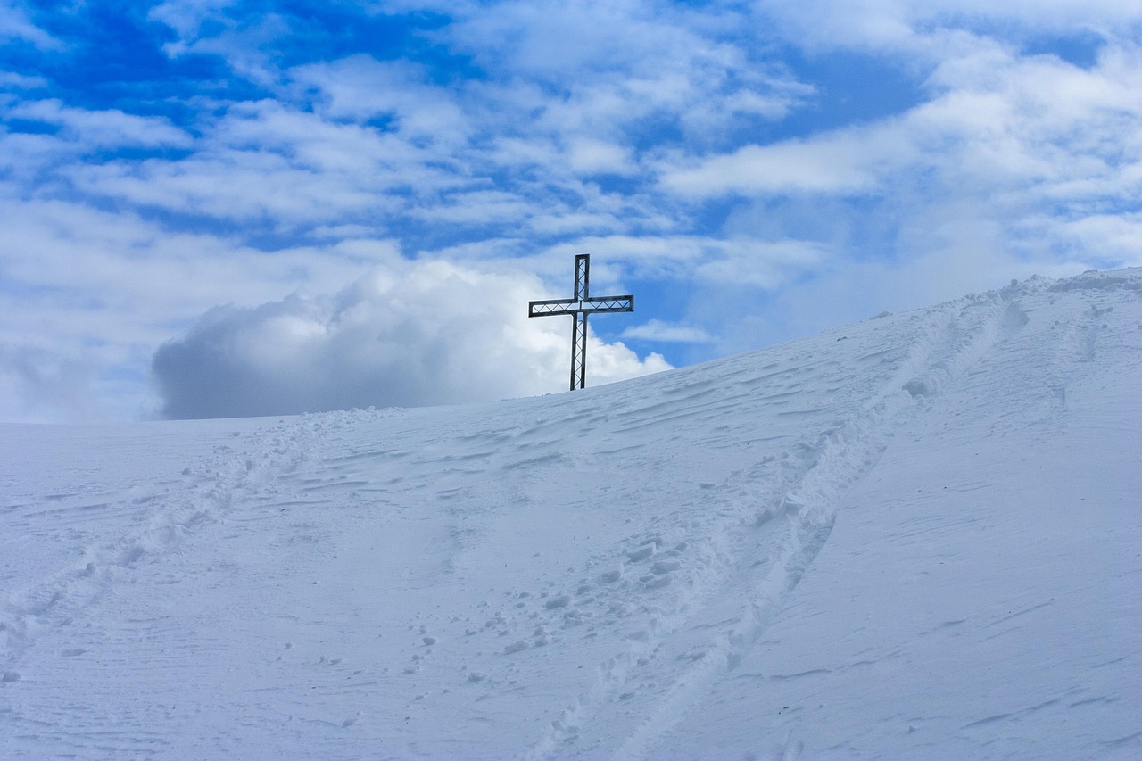蛋仔派对：QQ新注册的账号怎么激活