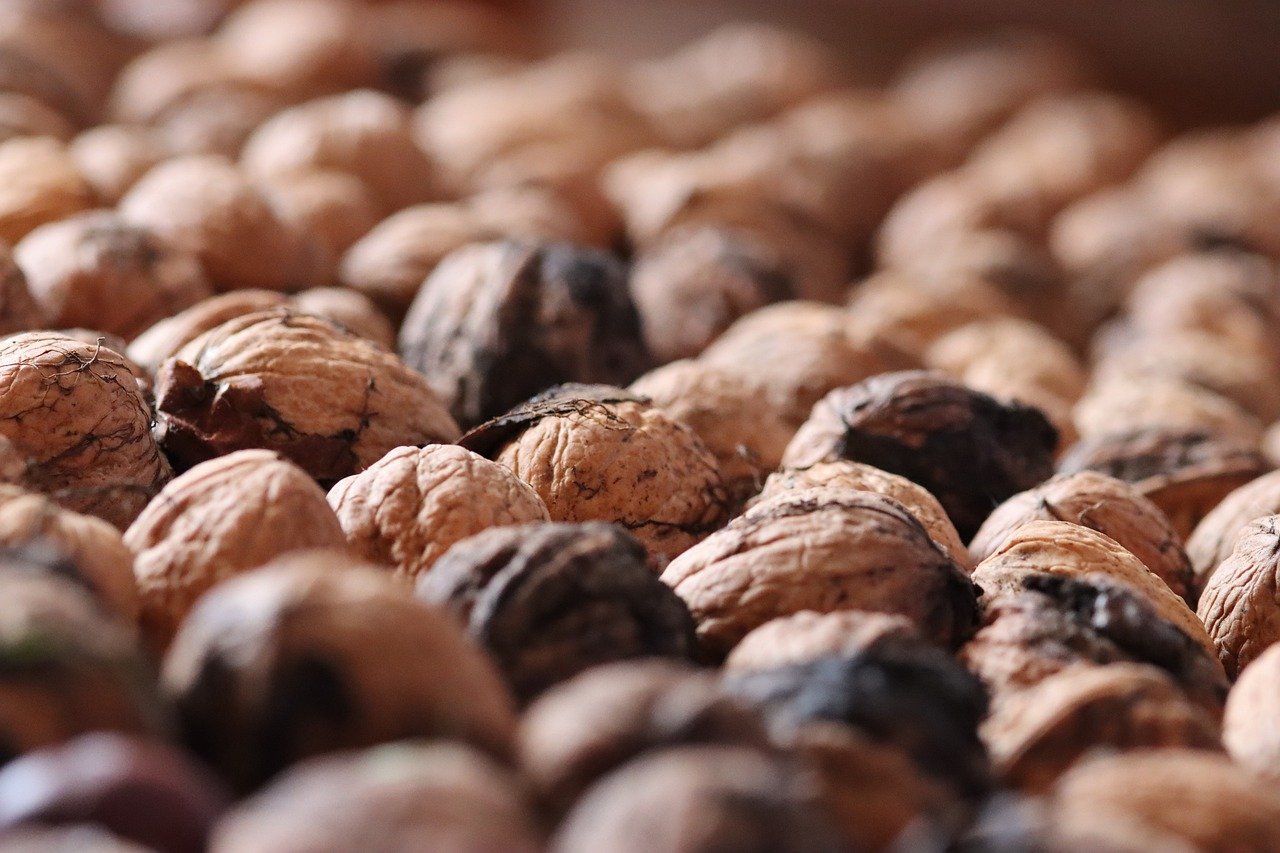 极信通信实名账号:期货配资平台开户咨询