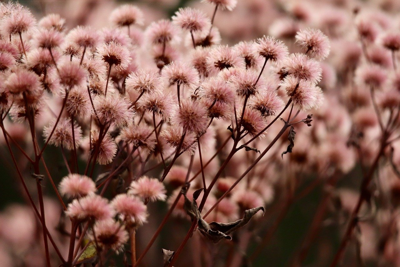 抽烟和情绪的关系