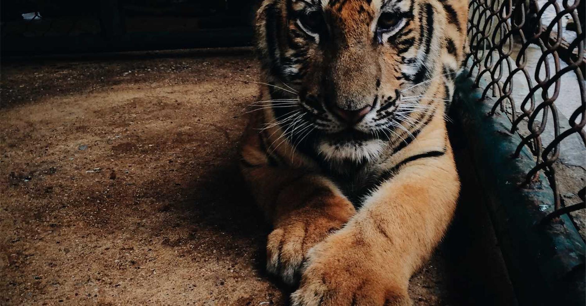 杏耀大舟山app详情下载教程